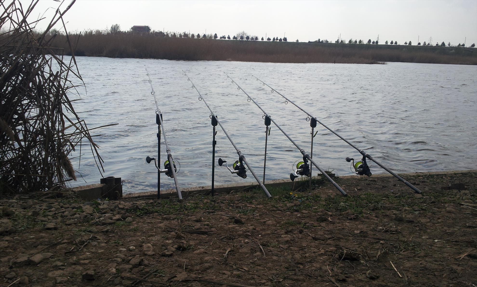 Tancabesti 28 - 29 mar. - 20140329104828.jpg